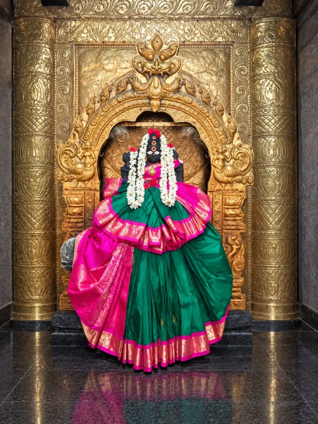 செயல்பாடுகள்